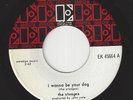 The STOOGES (Iggy Pop) ORIG CANADA Pressing 45 - I Wanna Be Your Dog / 1969