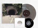 The Backseat Lovers - When We Were Friends Vinyl Smog Colored + 7