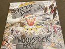 Green Day Live Woodstock 1994 12