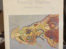 Michael Stearns   Planetary Unfolding   LP   Vinyl   1st Press Vinyl Ambient NM-