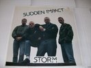 Sudden Impact - Storm LP Vinyl 1989 Rock-O-Rama Punk Oi