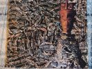 Siouxsie And The Banshees - juju Vinyl Lp 1981