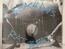 BEACH RATS – RAT BEAT - LIMITED ED. JERSEY BEACH GLASS VINYL LP FREE SHIPPING 12