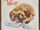 Woof Rare Mono Pop LP The Terriers 20th Fox NM