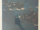 The Avalanches – Since I Left You 2LP 2004 12