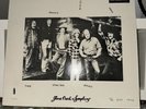 Goose Creek Symphony Head For The Hills lp Vinyl Is Mint Sleeve NM Rare