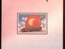 THE ALLMAN BROTHERS BAND EAT A PEACH CAPRICORN W/INSERT VINYL 2LP SET 113-51W