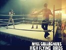 Dream On by Noel Gallagher's High Flying Birds - Ex. See description