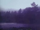 In The Woods... - HEart Of The Ages LP