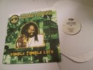 KING KONG RUMBLE JUMBLE LIFE LP REGGAE MASSIVE B RECORDS VINYL EXC-NM