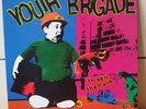 Youth Brigade - To sell the Truth LP Original Vinyl