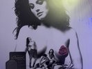 Red Hot Chili Peppers - Mothers Milk - By the way - Blood Sugar Sex Magik Record