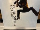 Chris Cornell - Scream Vinyl Record 2 LP RARE Import NM