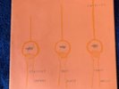SWIRLIES Strictly East Coast Sneaky Flute Music Double LP Vinyl Record Set