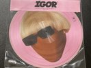 Tyler The Creator - Igor Faceless Picture Disc Vinyl In Hand Ready to Ship