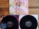 The Hold Steady - Boys and Girls in America Vinyl 2xLP Like New DELUXE Record