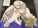 Magnolia Electric Company Co- Songs: Ohia 10th Anniversary Deluxe Record, 2013