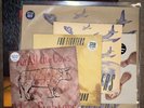 foo fighters And Grinderman for chrome_flag