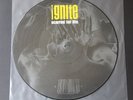 Ignite – Scarred For Life PICTURE LP VINYL 1st PRESS ROCK HARDCORE PUNK 1994