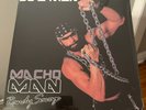 Macho Man Randy Savage - Be A Man - Macho Chain Silver Vinyl - NEW - FREE SHIP