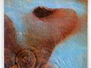PINK FLOYD MEDDLE EMI EMS80322 JAPAN VINYL LP