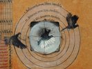 FATES WARNING THEORIES OF FLIGHT (TRANSPARENT RED VINYL) VINYL DOUBLE ALBUM