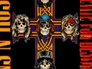 Vtg 1988 GUNS N ROSES Album APPETITE FOR DESTRUCTION Vinyl w Inner OG NEAR MINT