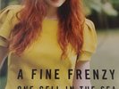 a fine frenzy vinyl one cell in the sea