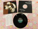 P.W. Long God Bless the Drunkard's Dog Vinyl LP Record 2005 Mule WIG Albini EX