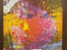 THE LITTER $100 FINE LP Minnesota Garage Psych 1968