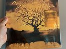 Days Of The New   S/T ( Yellow Album )   2LP Music On Vinyl MOV New/Unplayed