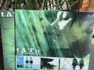 T. A. T. U. All The Things She Said Monk Rabbit In The Moon Remixes Vinyl Record