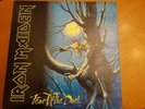 IRON MAIDEN 2LP FEAR OF THE DARK 1992 GATEFOLD MADE IN ITALY PRIMA STAMPA
