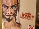 David Bowie - Brilliant Adventure (1992-2001) New 18 LP box set