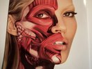 Damian Hirst  Kate Moss Use Money Cheat Death #61/666