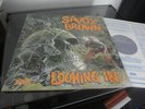 Savoy Brown – Looking In rare UK 70s Lp mint- Blues Rock, Classic Rock Rarity