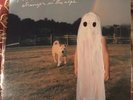 Stranger in the Alps [LP] by Phoebe Bridgers (Record, 2017)