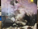 The Land of Rape and Honey [LP] by Ministry (Vinyl, Aug-1993, Sire Records USA)
