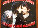 Shane MacGowan Nick Cave 