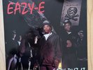 EAZY-E  Eazy-duz-it LP Vinyl Schallplatte