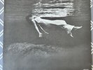 Bill Evans, Jim Hall – Undercurrent Japanese Reissue 1976