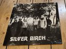Silver Birch 1974 Rare 1st Press Vinyl LP