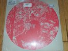 Owen Pallett, Final Fantasy - Heartland Vinyl 2XLP Domino Records