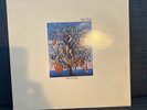 Talk Talk, Spirit of Eden, Vinyl 1988, Good playing condition