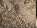 12”LP. IGNITE THE SEVEN CANNONS. FELT.  CHERRY RED  BRED 65.LYRICS ON INSERT,VGC