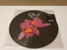 Opeth - Orchid Vinyl LP CVCS 003 PD (Porcupine Tree, Riverside, Anathema, Tool)