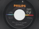 GARAGE PSYCH PUNK - QUADRANGLE - SHE'S TOO FAMILIAR NOW -  HEAR - 1966 PHILIPS