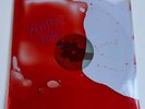 MANESKIN - RUSH  LP - Blood Liquid Filled Sleeve Edition Red Marble Vinyl NEW