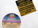 Andrea True Connection 12