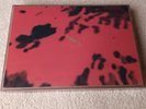 Julian Casablancas-Luxury Edition Deluxe Set-Phrazes For The Young-The Strokes